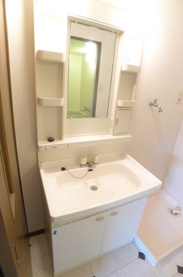 Washroom. Bathroom vanity