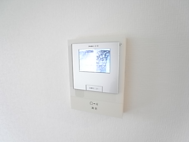 Security. Peace of mind in the color monitor Hong.