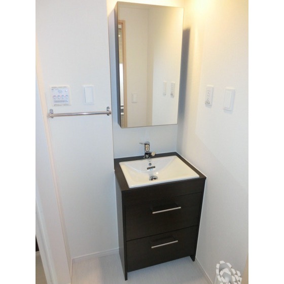 Washroom. Stylish vanity