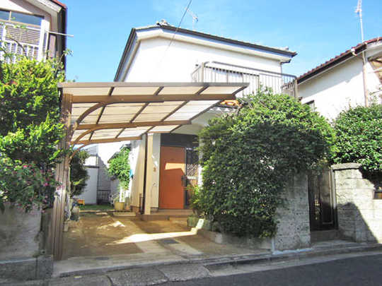 Local land photo. appearance