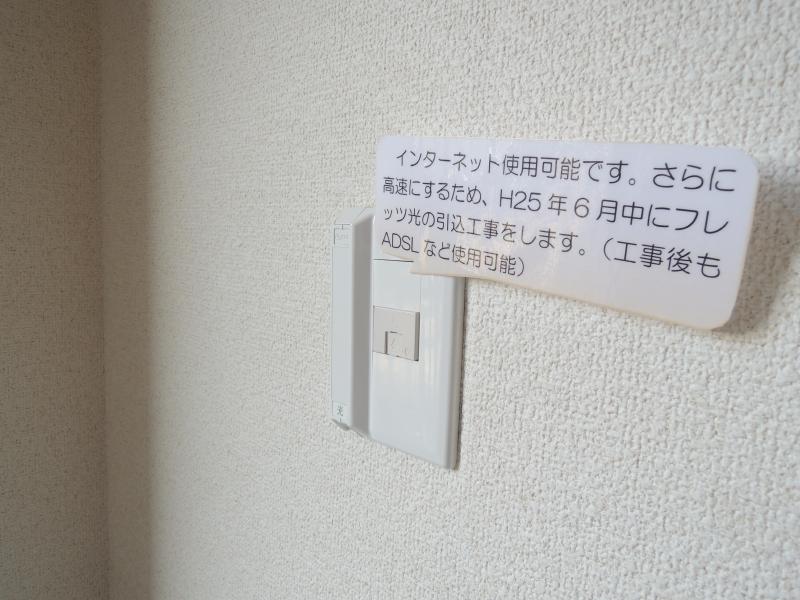 Other. You can use the Internet in Hikari