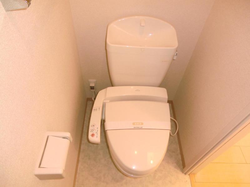 Toilet. I am happy that with a hot-water cleaning toilet seat is