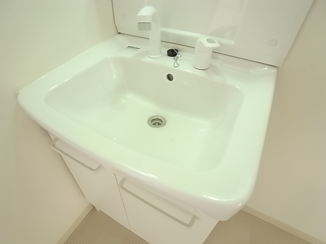 Washroom. Since the shampoo formula of vanity, Convenience be to busy people morning.