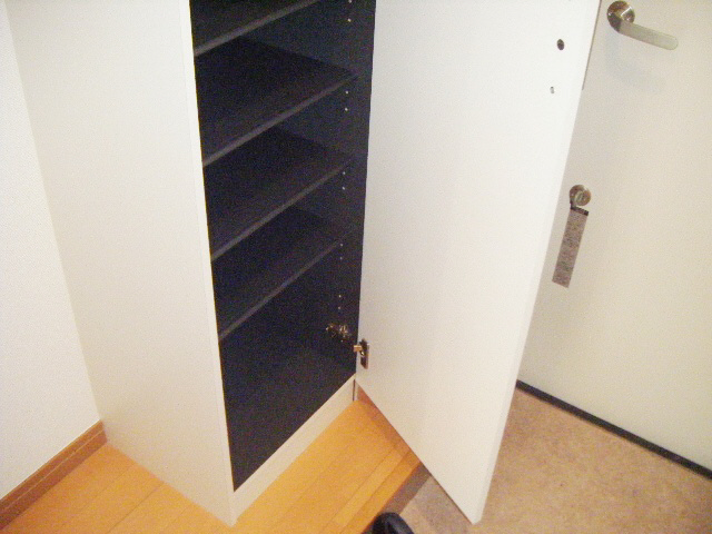 Entrance. Shoes will go a lot