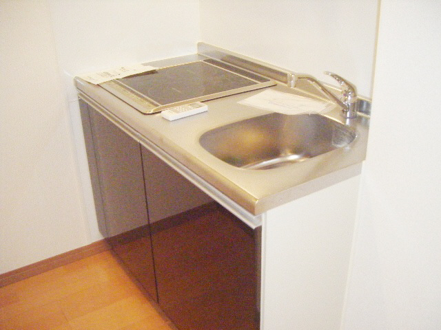 Kitchen. IH stove of a two-necked kitchen