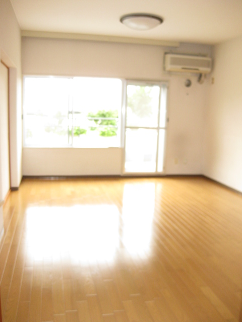 Living and room. Living