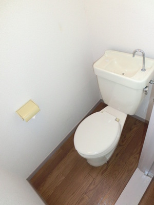 Toilet. Western-style toilet