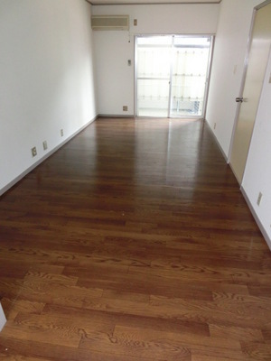 Living and room. Bright living room