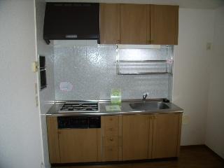 Kitchen. System kitchen