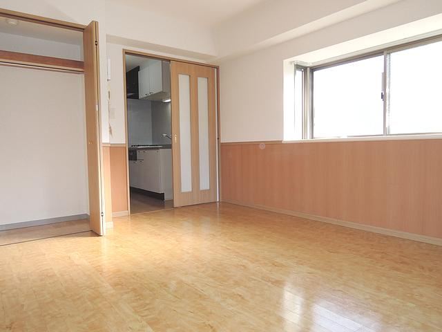 Living and room. Bright room. 