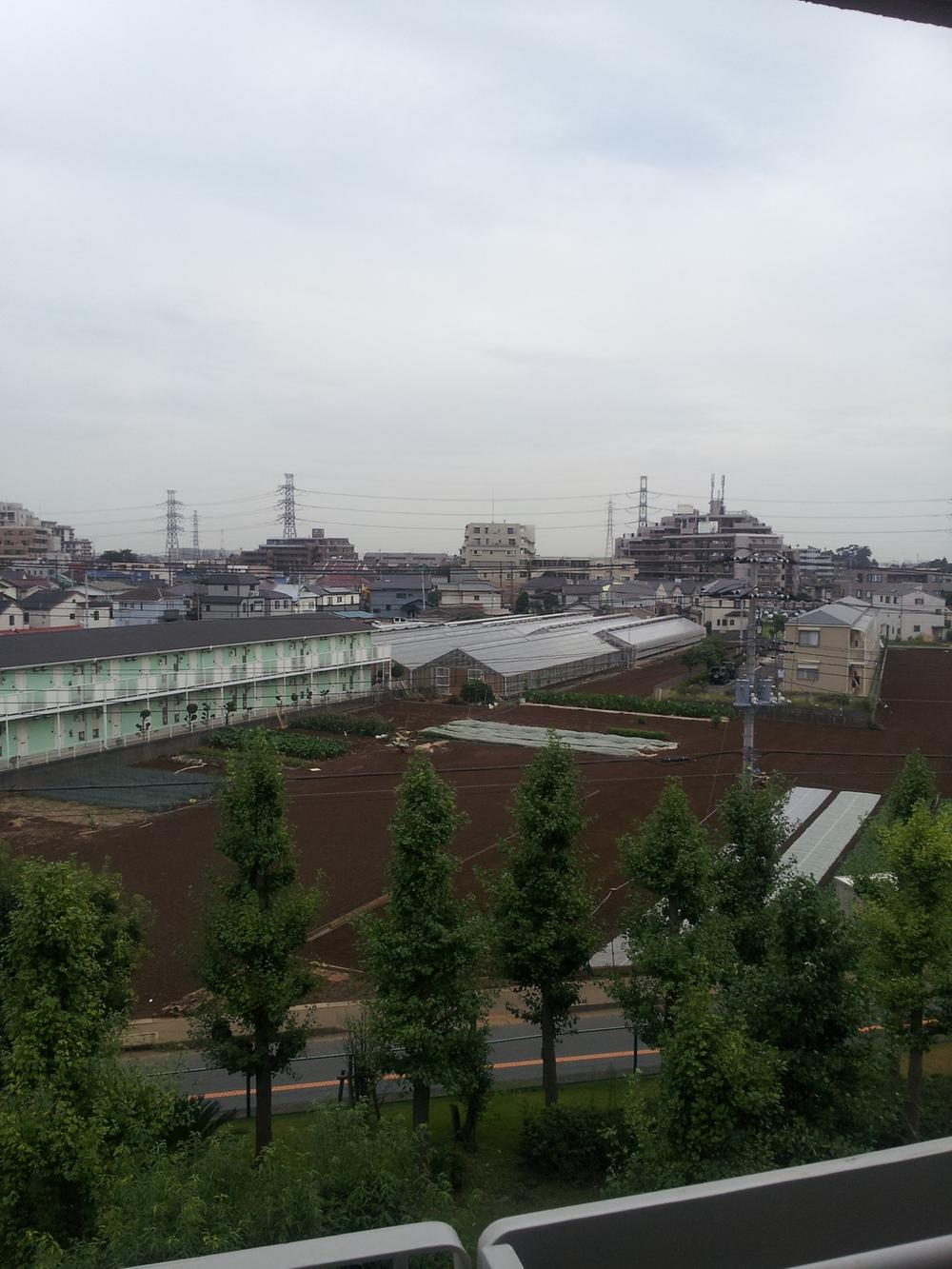 Other. View