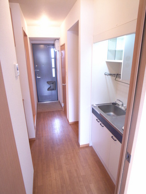 Kitchen. Enough to live alone ☆