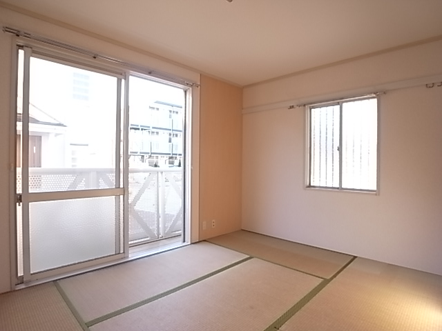 Other room space. It is pleasant to sleep on the tatami.