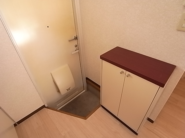 Entrance. Entrance and a shoebox.