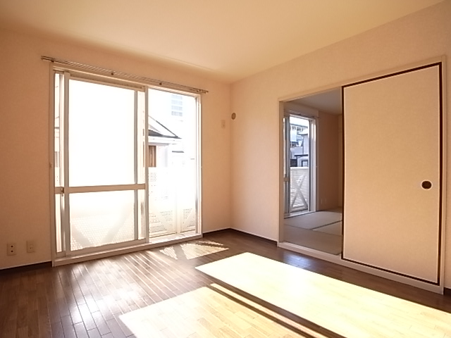 Other room space. Facing south in sunny.