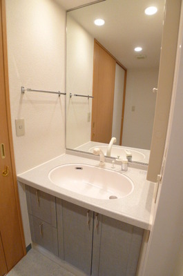 Washroom. Bathroom vanity