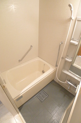 Bath. Add-fired function with bus