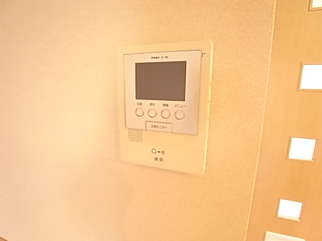 Security. TV monitor with a phone.