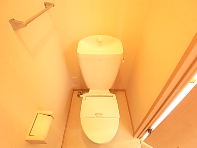 Toilet. Toilet shiny.