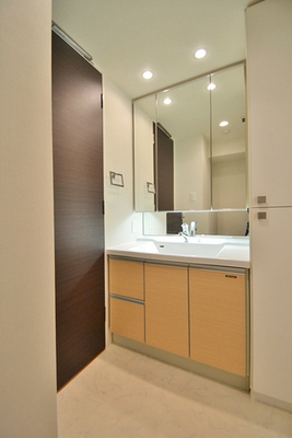Washroom. Large vanity