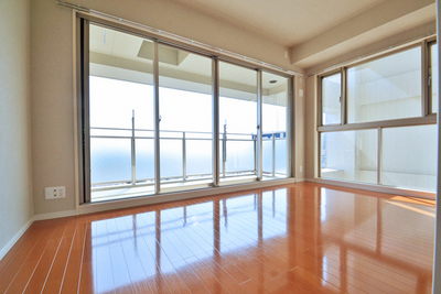 Other room space. The living room of a large two-sided lighting