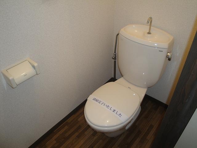 Toilet. I think the water around is beautiful is good.