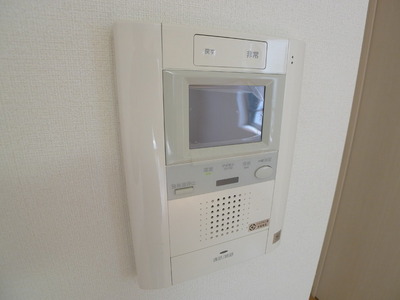 Security. TV Monitahon