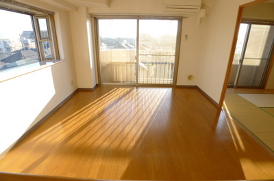 Living and room. Living