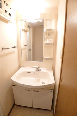 Washroom. Bathroom vanity