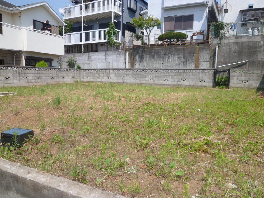 Local land photo. Local (July 2012) shooting