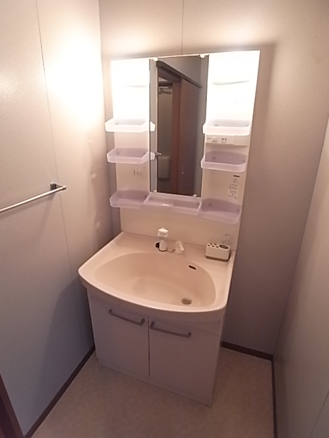 Washroom. Convenient shampoo dresser also busy morning