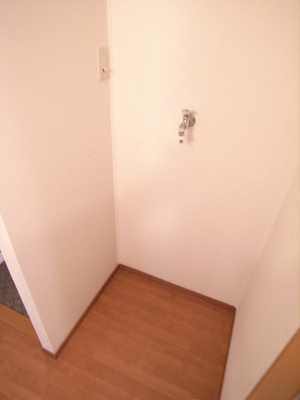 Other room space. There Indoor Laundry Area! 