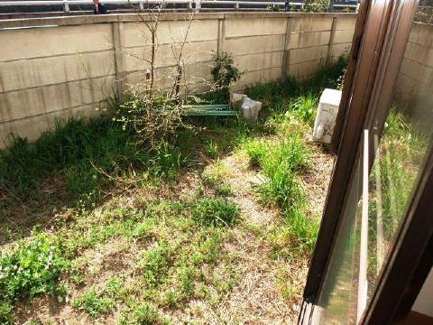 Garden. What is with your garden