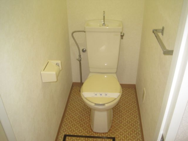 Toilet. Water around the beautiful most!