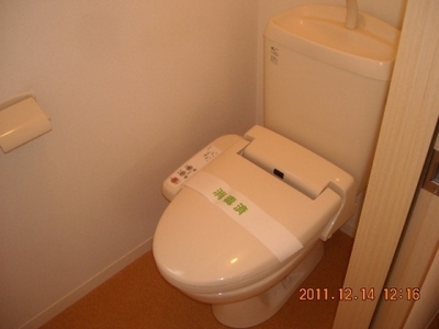 Toilet. Happy also in the coming season, Cleaning heating toilet seat.