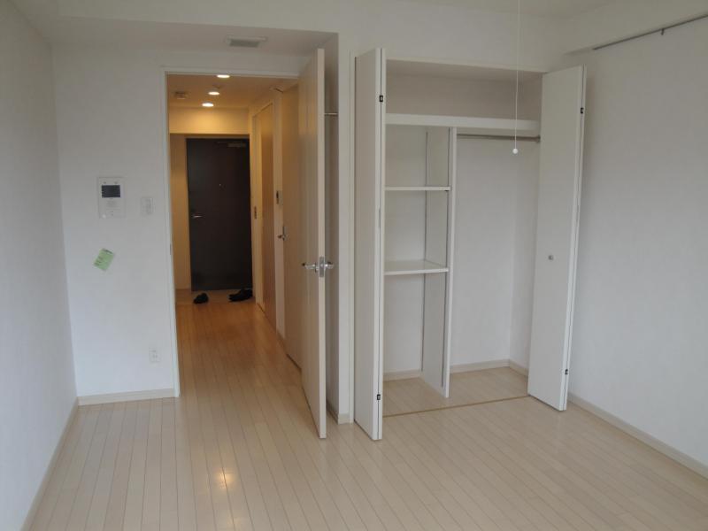 Living and room. Cleanliness plenty