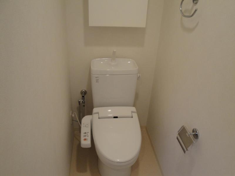 Toilet. Clean restroom looks comfortable