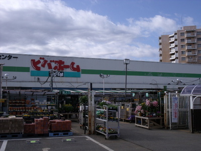 Home center. Viva Home up (home improvement) 450m