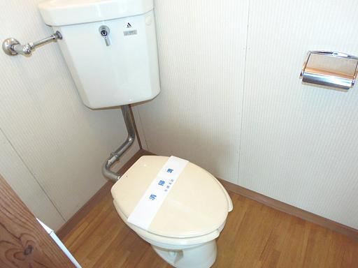 Toilet. Western-style toilet.