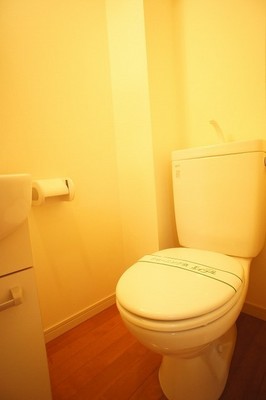 Toilet. There is a wash basin in front of the toilet.