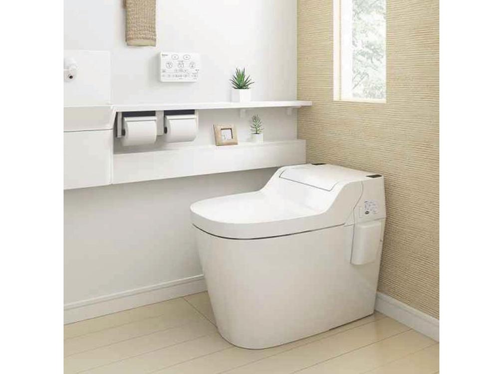 Model house photo. Tankless toilet