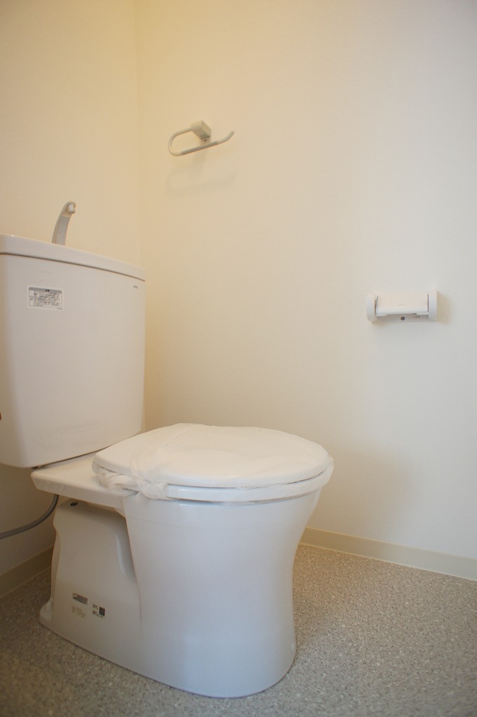 Toilet. It has been changed to the new