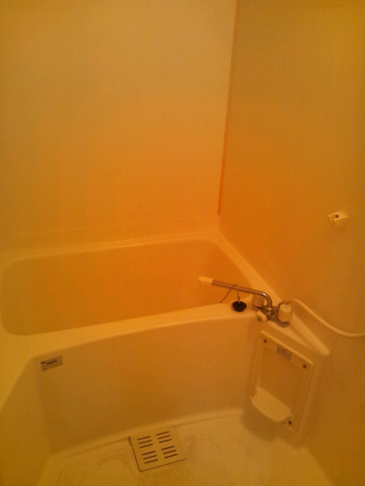 Bath. bus, toilet, Independent washbasin.