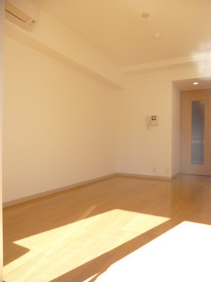 Living and room. Bright Western-style