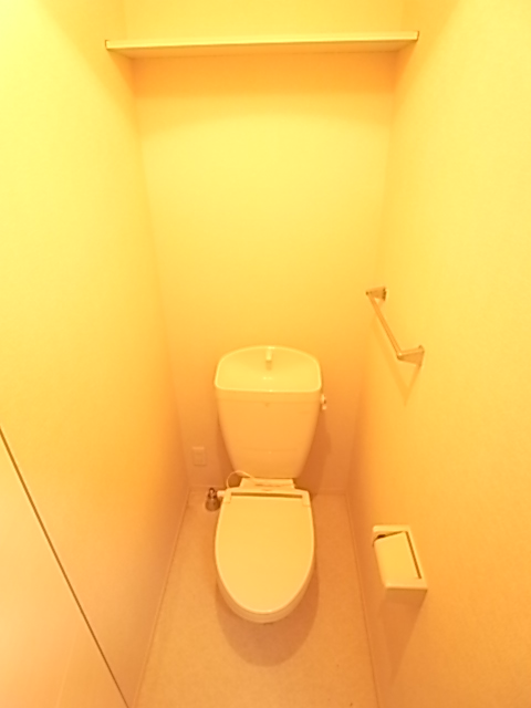 Other. Toilet has also become widely.