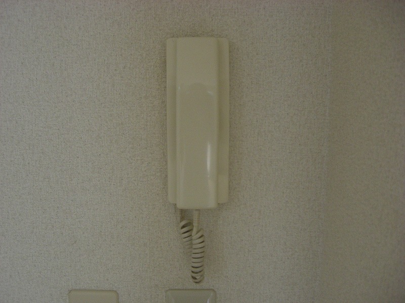 Security. The confirmation of visitors intercom