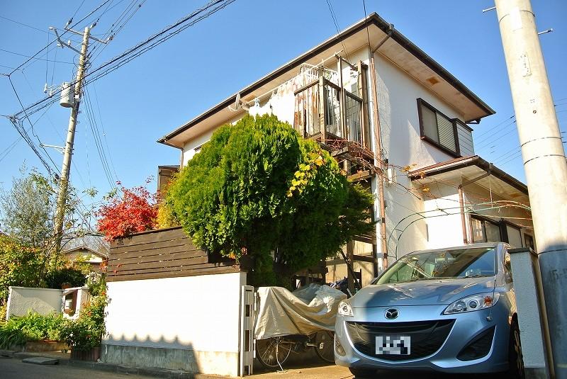 Local land photo. Local (12 May 2013) Shooting