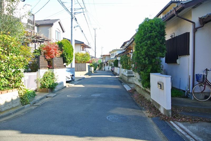 Local photos, including front road. Local (12 May 2013) Shooting