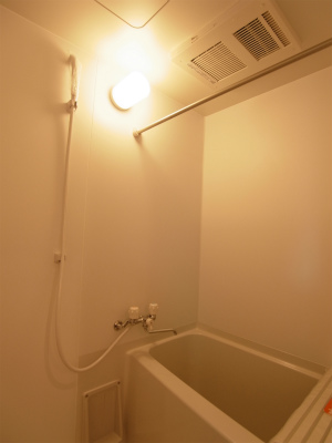 Bath. With bathroom dryer