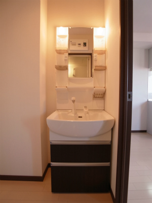 Washroom. Separate vanity